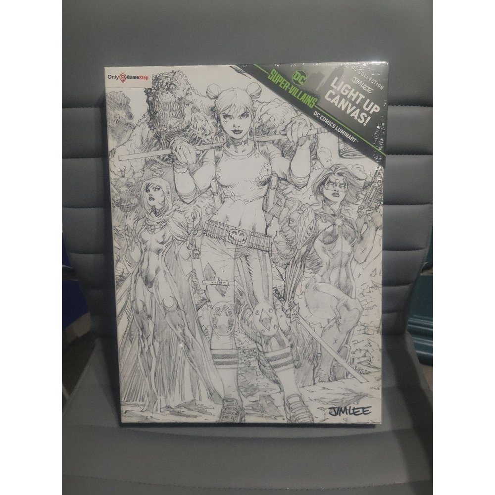 DC Comics Light Up Canvas
